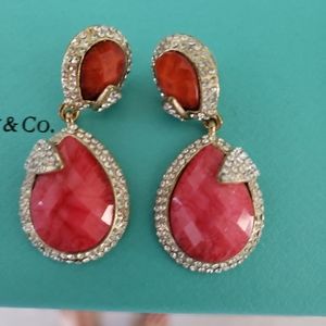 Beautiful pierced earrings